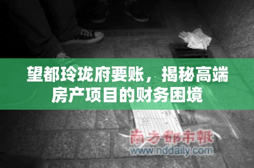 望都玲珑府要账，揭秘高端房产项目的财务困境