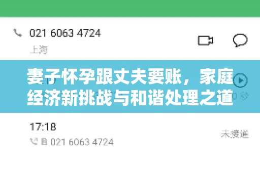 妻子怀孕跟丈夫要账，家庭经济新挑战与和谐处理之道