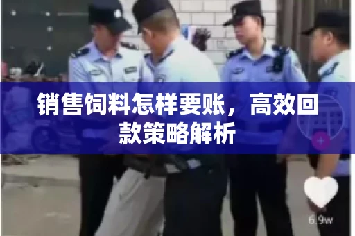 销售饲料怎样要账，高效回款策略解析