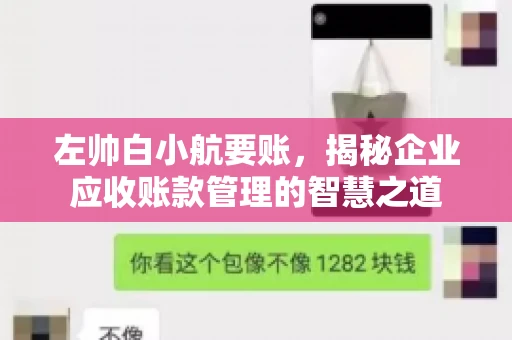 左帅白小航要账，揭秘企业应收账款管理的智慧之道