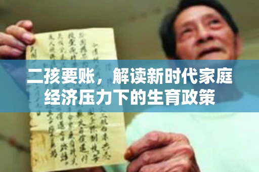 二孩要账，解读新时代家庭经济压力下的生育政策
