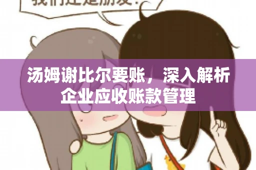 汤姆谢比尔要账，深入解析企业应收账款管理