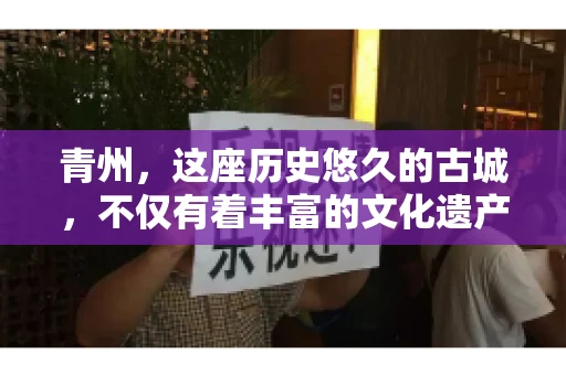 青州，这座历史悠久的古城，不仅有着丰富的文化遗产，还有着繁忙的经济活动。在商业往来中，难免会遇到一些欠款问题，这时候，找一家专业的要账公司就显得尤为重要。那么，青州有帮人要账的吗？答案是肯定的。下面，我就来为大家详细介绍一下青州地区的要账服务。