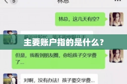 主要账户指的是什么？