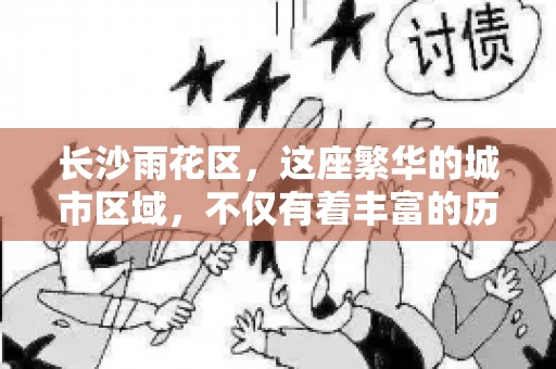 长沙雨花区，这座繁华的城市区域，不仅有着丰富的历史文化，还有着繁忙的金融活动。其中，催收公司作为金融行业的一个重要组成部分，在这里也有着不少的身影。那么，长沙雨花区都有哪些催收公司呢？今天，我们就来聊聊这个话题。